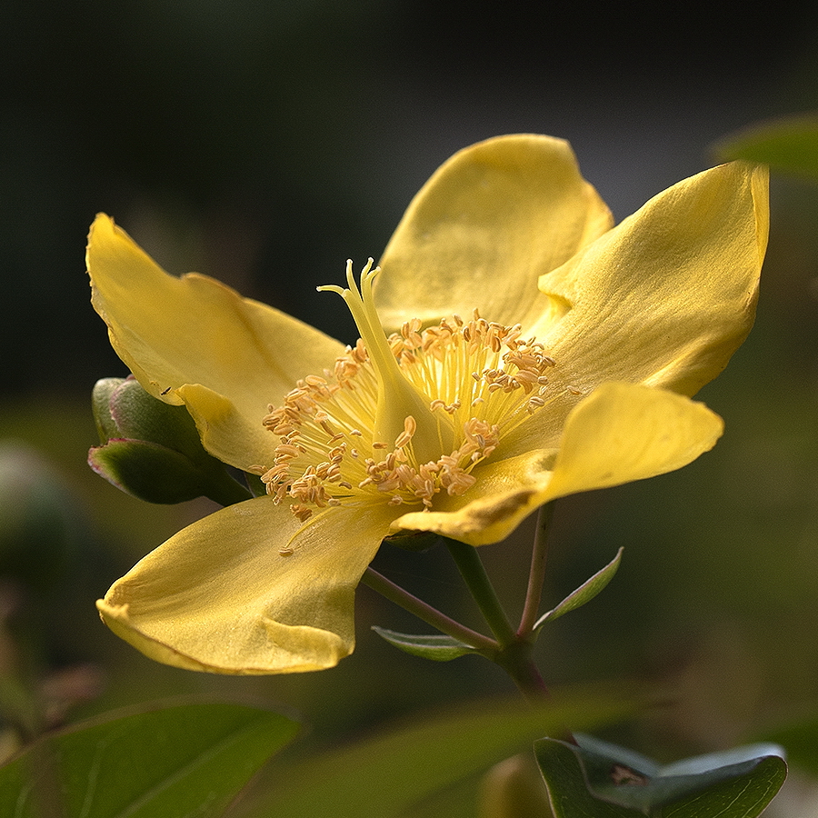 KA7_1083 als Smartobjekt-1 Kopie.jpg